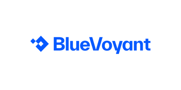 BlueVoyant logo